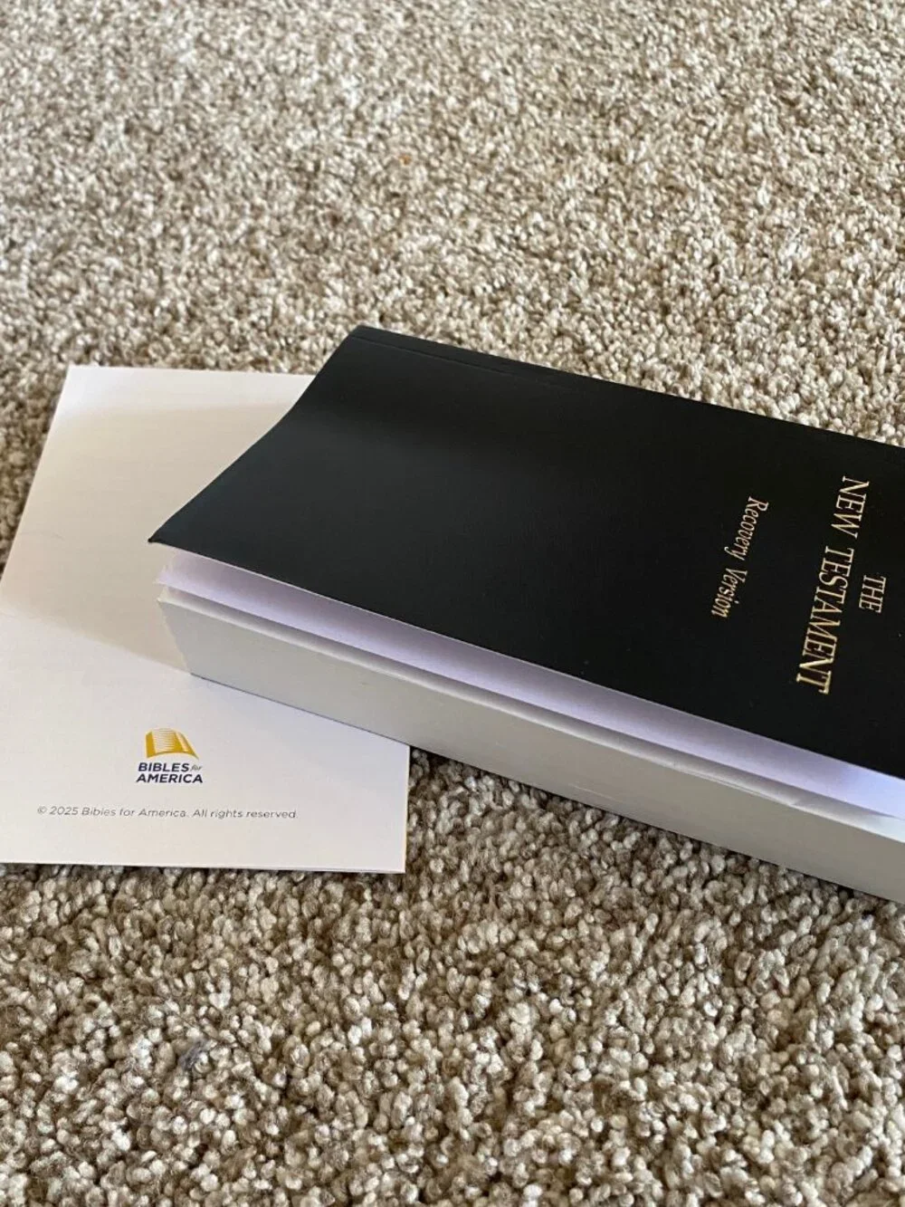New Testament Recovery Version Bible Living Stream Ministry 1991 Revised Ed.